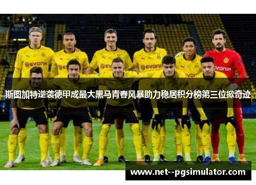 斯图加特逆袭德甲成最大黑马青春风暴助力稳居积分榜第三位掀奇迹 斯图加特逆袭德甲成最大黑马青春风暴助力稳居积分榜第三位掀奇迹
