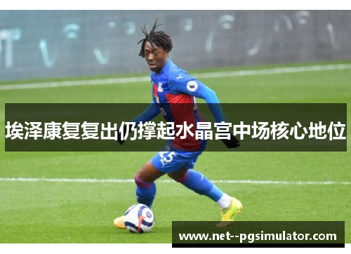 埃泽康复复出仍撑起水晶宫中场核心地位 埃泽康复复出仍撑起水晶宫中场核心地位